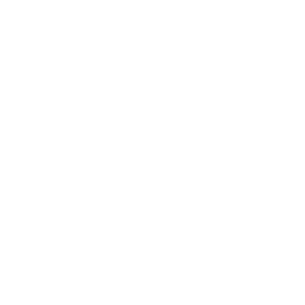 Sanyccess